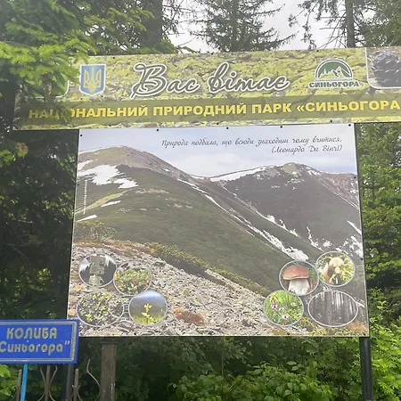 Ξενοδοχείο με διαμερίσματα апарт-готель синьогора